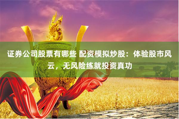 证券公司股票有哪些 配资模拟炒股：体验股市风云，无风险练就投资真功