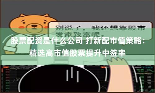 股票配资是什么公司 打新配市值策略：精选高市值股票提升中签率